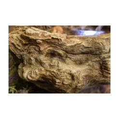 H77cm Montana Falls Log & Rock Cascading Water Feature with Lights - by Ambienté -Polyresin Water Features Sales Shop WF9885 add image 2 1838